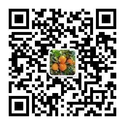 秀美龍?zhí)?>
                                  <span id=